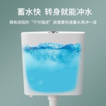 九牧（JOMOO） 蹲便器套装蹲坑蹲厕大冲力水箱防臭大便器家用蹲式马桶冲便器 蹲便14095【后进前排】+双档水箱
