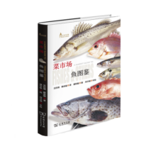 菜市场鱼图鉴/自然观察丛书