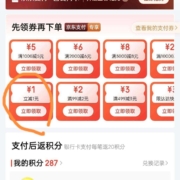 京东 支付专享福利 领1元无门槛支付券