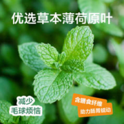 YANXUAN 网易严选 冻干双拼猫粮+猫薄荷饼干礼包