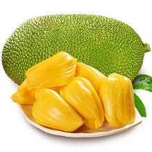 风之郁 三亚黄肉菠萝蜜 一个20-25斤