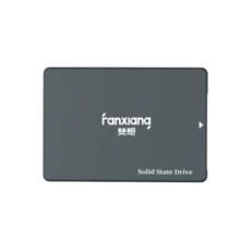 梵想（FANXIANG） SSD固态硬盘 笔记本台式机硬盘 SATA3.0接口 高兼容FP325系列 4T【TLC 超大容量 高性能】