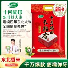 十月稻田 长粒香大米 10kg