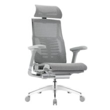Ergonor保友pofit 2代智能高端电脑椅人体工学椅办公椅电竞椅子