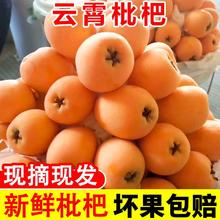 百亿补贴：胡鲜森 福建云霄枇杷鲜果新鲜水果当季应季单果50g起