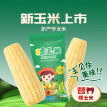 Plus：京百味 吉林糯玉米棒 250g 东北甜糯新玉米 黏玉米 健康轻食