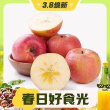 3.8焕新：Mr.Seafood 京鲜生 正宗新疆阿克苏苹果 脆甜苹果 4.5kg单果190-240g