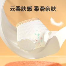 安可新 经期安心裤 L 2片*2