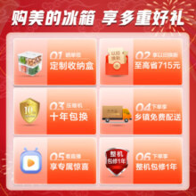 美的（Midea）19分钟急速净味508升变频一级能效法式四开门多门双系统双循环家用冰箱大容量BCD-508WTPZM(E)白色
