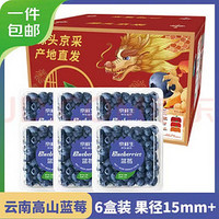 新鲜蓝莓6盒 125G/盒 特大果18MM+单果