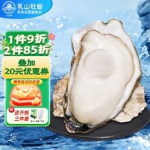 乳山牡蛎 鲜活乳山生蚝4XL号 单只190g起 净重5kg 22-30只装箱装