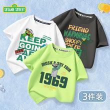 SESAME STREET 芝麻街童装短袖纯棉三件件夏季新款宽松加大中大童打底衫上衣T恤男女童