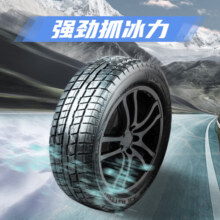 固铂轮胎/汽车轮胎/雪地胎205/55R16 91T Weather-Master ICE100 23年