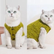 zeze 猫咪衣服冬季保暖背心冬装狗狗衣服中小型犬过冬猫咪衣服
