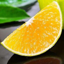 Plus会员:天乐优选冰糖橙 整箱 5斤单果60-65mm（需买2件）