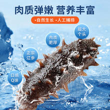 88VIP会员：鱻谣 大连即食海参500g*2