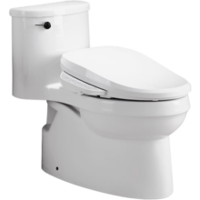 科勒（KOHLER）智能马桶坐便器全功能加热马桶2级水效305坑距座便器 5171+18649