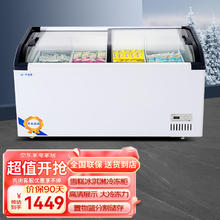 雪诗希 雪糕柜冰激凌冰糕冰棍冰柜商用大容量超市冷冻冰箱展示柜卧式保鲜 1.5米智控