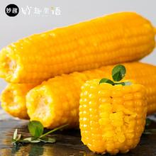 妙趣果语 东北黄糯玉米 220g*10根