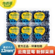 DRISCOLL'S 怡颗莓 云南蓝莓 小果 125g*6盒礼盒装