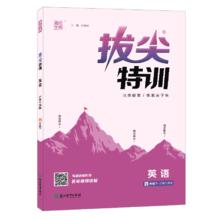 《拔尖特训》（年级，科目任选）