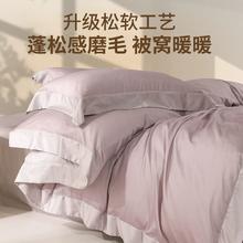 家装季：LIMERENCE 100支天丝棉磨毛三件套 150*200cm 简约款