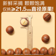 BESTORE 良品铺子 3罐 坚果组合 745g