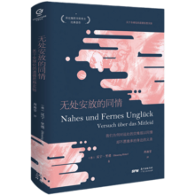 万有引力书系 无处安放的同情：关于全球化的道德思想实验 莱比锡图书奖得主哲学著作 北大教授何怀宏推荐