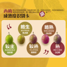 京鲜生 智利西梅2.5kg礼盒装J级 单颗20g+ 生鲜水果 桃李杏