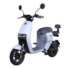Ninebot 九号 电动自行车锦鲤A35+九号电动车