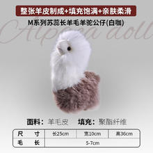 京东PLUS：AusGolden 澳洲苏蕊羊毛羊驼 白咖羊驼 单只