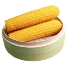 美农哥 东北黏糯玉米棒10支
