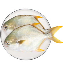 翔泰 冷冻海南金鲳鱼500g/2条ACS 生鲜鱼类 深海鱼火锅食材 海鲜水产