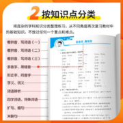 2024春《53单元归类复习》