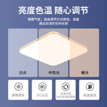 铁狼头铁艺 led吸顶灯 圆30CM白光18w（签到红包可用）
