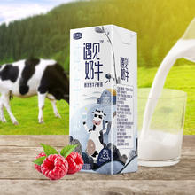 限移动端：JUNLEBAO 君乐宝 遇见奶牛全脂纯牛奶 200mL*24盒整箱 营养早餐家庭量贩