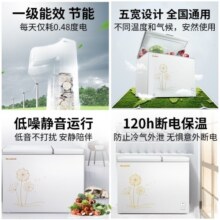 美菱冰柜（MELING）220升家用商用冰柜 节能双温双箱冷柜 顶开双开门一级能效冷藏冷冻卧式冰柜  白色 BCD-220DT