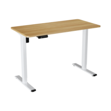 乐歌（Loctek） 电动升降桌智能升降电脑站立式办公简约家用居家书桌ES1/E2S 【ES1】白色桌腿+白色桌板 1.6*0.8米桌板