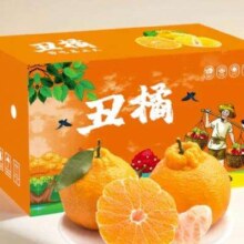 Plus会员:鲜菓篮  四川丑橘不知火丑柑 带箱5斤 75-80MM
