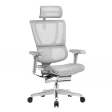 Ergonor 保友优旗舰 2代 高端人体工学椅电脑椅家用 电竞椅办公椅老板椅 银白美国网 联动扶手