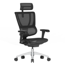 Ergonor 保友优b2/雄鹰 电脑椅人体工学椅家用 电竞椅办公椅子靠背老板椅 【优b2】黑色网 可旋转可升降扶手