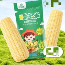 Plus：京百味 吉林糯玉米棒 250g 东北甜糯新玉米 黏玉米 健康轻食