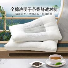 MERCURY 水星家纺 决明子茶香枕 48*74cm 一对装
