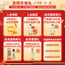 水井坊 小水井 浓香型白酒 52度 500mL 6瓶