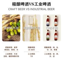 麦吉翁 精酿啤酒原浆比利时风味德式小麦白啤拉格整箱