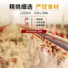 汪爸爸 小型犬成犬专用狗粮通用型5斤
