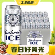 3.8焕新：Budweiser 百威 冰啤 拉格啤酒 500ml*18听 啤酒整箱装