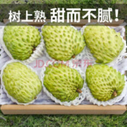 MDNG 牛奶凤梨 新鲜释迦果5斤装 8-11个