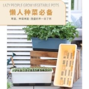 阳台长方形种菜盆种菜花盆槽悬挂花盆