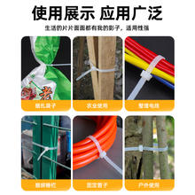 4*200塑料扎带100条（签到红包可用）